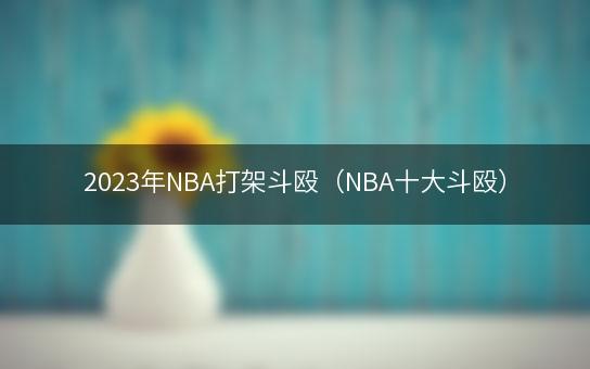 2023年NBA打架斗殴（NBA十大斗殴）