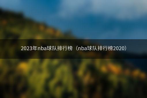 2023年nba球队排行榜（nba球队排行榜2020）