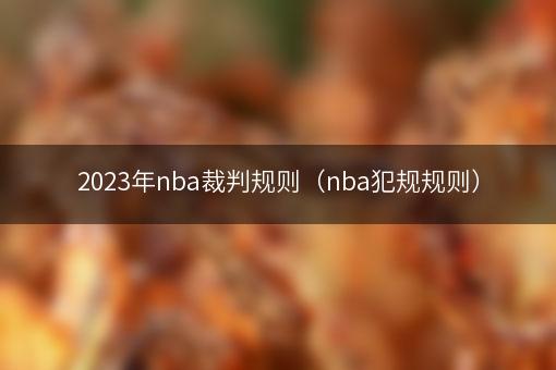 2023年nba裁判规则（nba犯规规则）