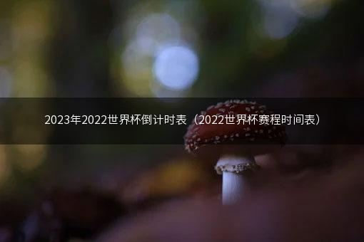 2023年2022世界杯倒计时表（2022世界杯赛程时间表）