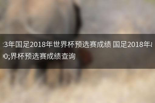 2023年国足2018年世界杯预选赛成绩 国足2018年世界杯预选赛成绩查询