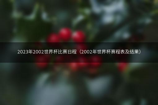 2023年2002世界杯比赛日程（2002年世界杯赛程表及结果）