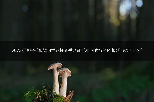 2023年阿根廷和德国世界杯交手记录（2014世界杯阿根廷与德国比分）