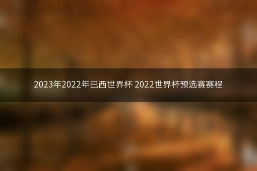 2023年2022年巴西世界杯 2022世界杯预选赛赛程