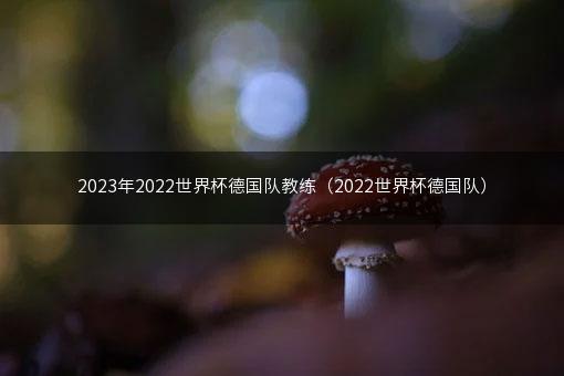 2023年2022世界杯德国队教练（2022世界杯德国队）