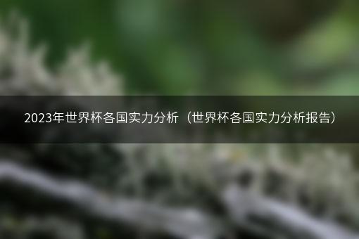 2023年世界杯各国实力分析（世界杯各国实力分析报告）