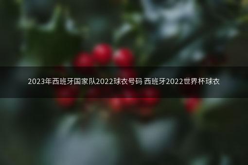 2023年西班牙国家队2022球衣号码 西班牙2022世界杯球衣