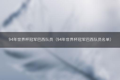 94年世界杯冠军巴西队员（94年世界杯冠军巴西队员名单）