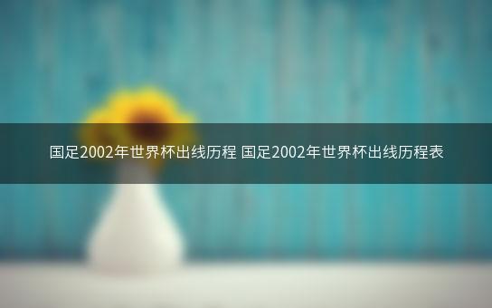 国足2002年世界杯出线历程 国足2002年世界杯出线历程表