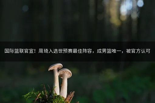 国际篮联官宣！周琦入选世预赛最佳阵容，成男篮唯一，被官方认可