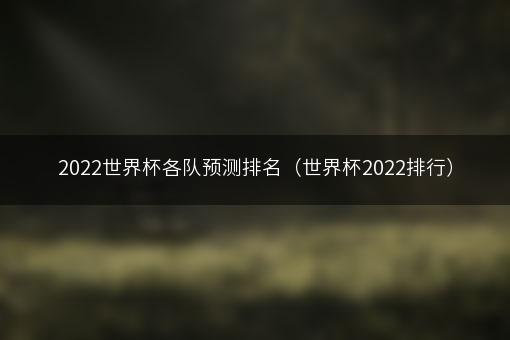 2022世界杯各队预测排名（世界杯2022排行）