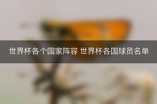 世界杯各个国家阵容 世界杯各国球员名单