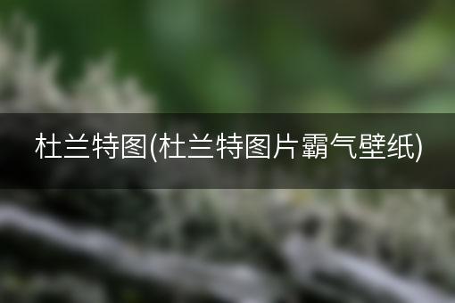 杜兰特图(杜兰特图片霸气壁纸)