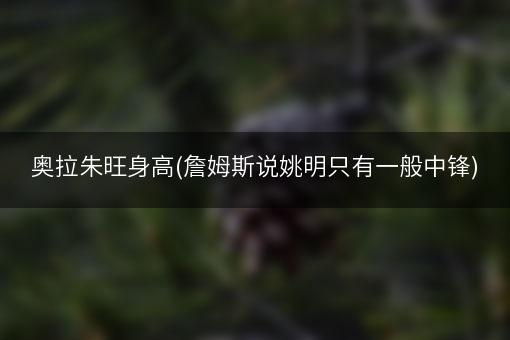 奥拉朱旺身高(詹姆斯说姚明只有一般中锋)