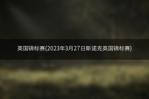 英国锦标赛(2023年3月27日斯诺克英国锦标赛)