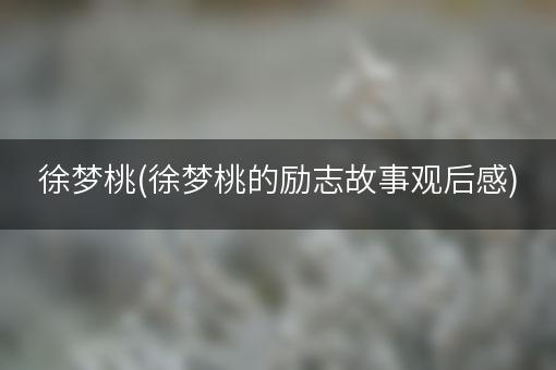 徐梦桃(徐梦桃的励志故事观后感)