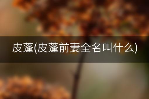 皮蓬(皮蓬前妻全名叫什么)