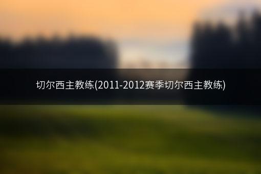 切尔西主教练(2011-2012赛季切尔西主教练)