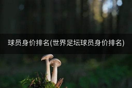 球员身价排名(世界足坛球员身价排名)