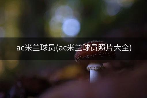 ac米兰球员(ac米兰球员照片大全)