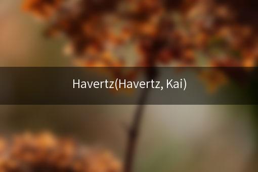 Havertz(Havertz, Kai)