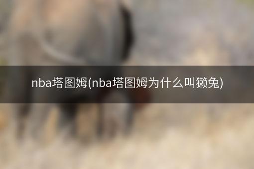 nba塔图姆(nba塔图姆为什么叫獭兔)