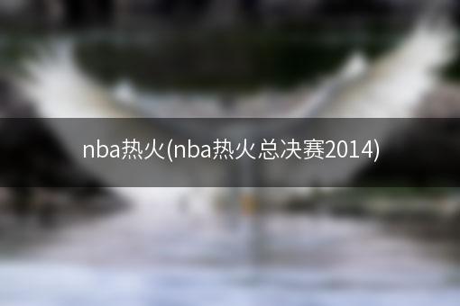 nba热火(nba热火总决赛2014)