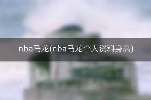 nba马龙(nba马龙个人资料身高)