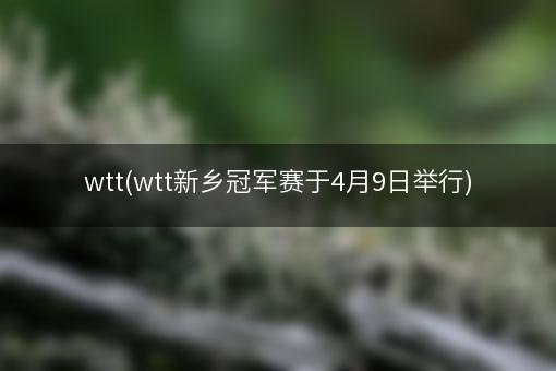 wtt(wtt新乡冠军赛于4月9日举行)