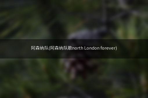 阿森纳队(阿森纳队歌north London forever)