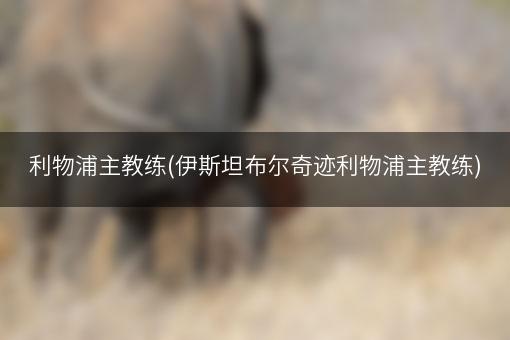 利物浦主教练(伊斯坦布尔奇迹利物浦主教练)