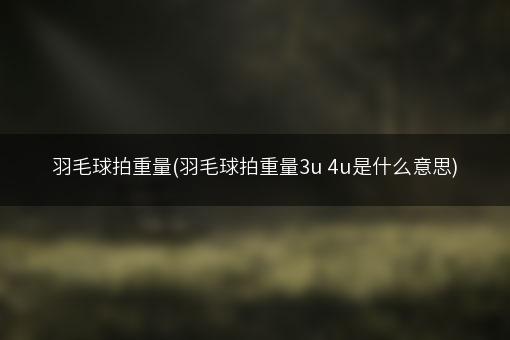 羽毛球拍重量(羽毛球拍重量3u 4u是什么意思)