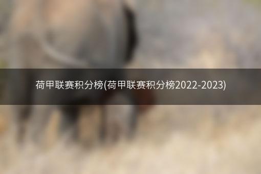 荷甲联赛积分榜(荷甲联赛积分榜2022-2023)