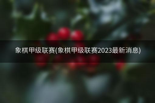 象棋甲级联赛(象棋甲级联赛2023最新消息)