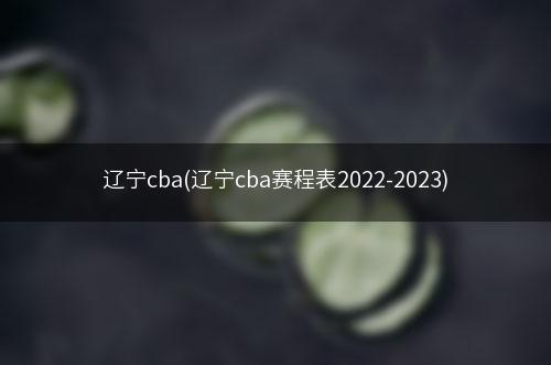 辽宁cba(辽宁cba赛程表2022-2023)