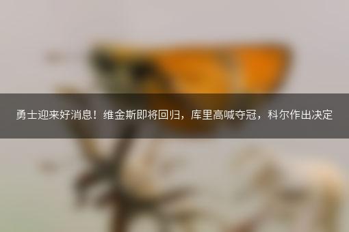 勇士迎来好消息！维金斯即将回归，库里高喊夺冠，科尔作出决定