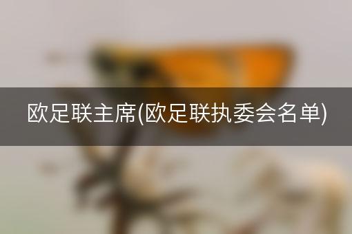 欧足联主席(欧足联执委会名单)