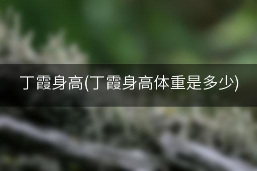 丁霞身高(丁霞身高体重是多少)