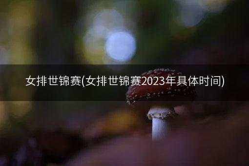 女排世锦赛(女排世锦赛2023年具体时间)