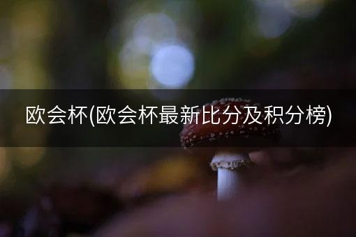 欧会杯(欧会杯最新比分及积分榜)