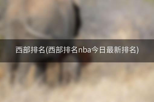 西部排名(西部排名nba今日最新排名)