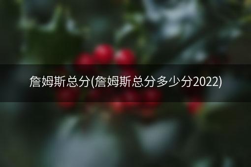 詹姆斯总分(詹姆斯总分多少分2022)