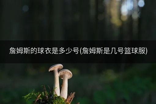 詹姆斯的球衣是多少号(詹姆斯是几号篮球服)