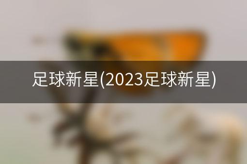 足球新星(2023足球新星)