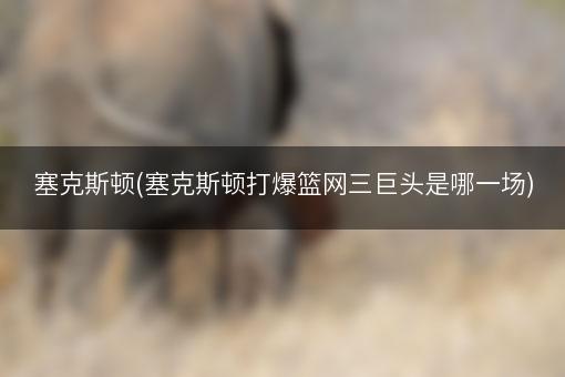 塞克斯顿(塞克斯顿打爆篮网三巨头是哪一场)