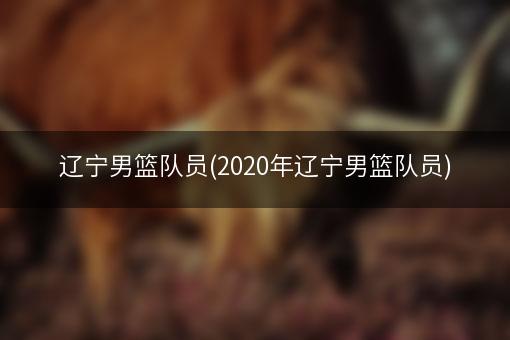 辽宁男篮队员(2020年辽宁男篮队员)