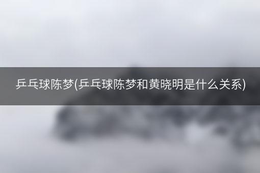 乒乓球陈梦(乒乓球陈梦和黄晓明是什么关系)