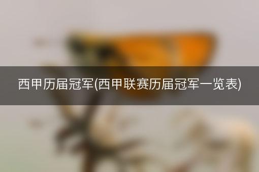 西甲历届冠军(西甲联赛历届冠军一览表)