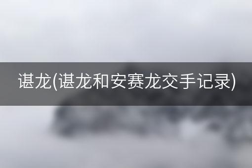 谌龙(谌龙和安赛龙交手记录)