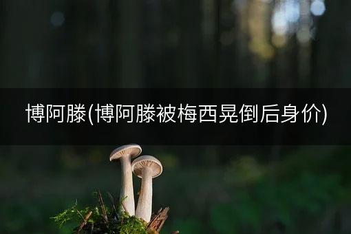 博阿滕(博阿滕被梅西晃倒后身价)